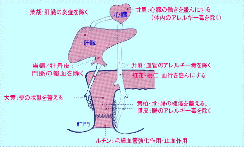 もへじ 構成生薬とその働き