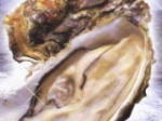 かき肉と牡蠣殻